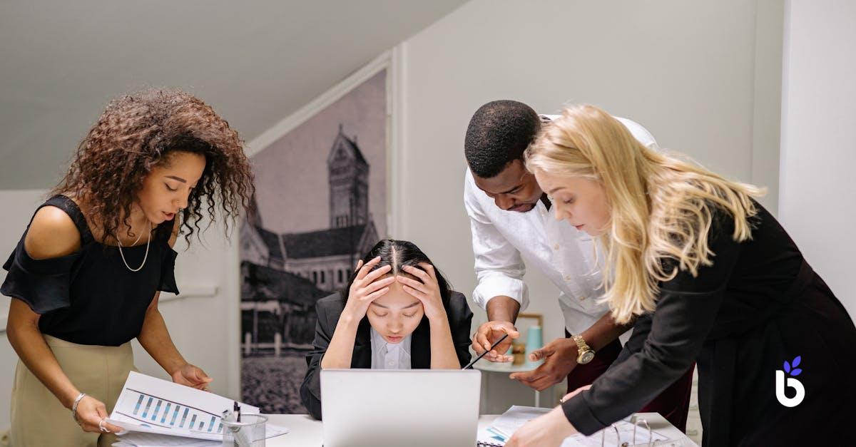 SUPPORT STAFF JOB DESCRIPTION - BIZCRM APP